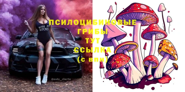 каннабис Каменногорск