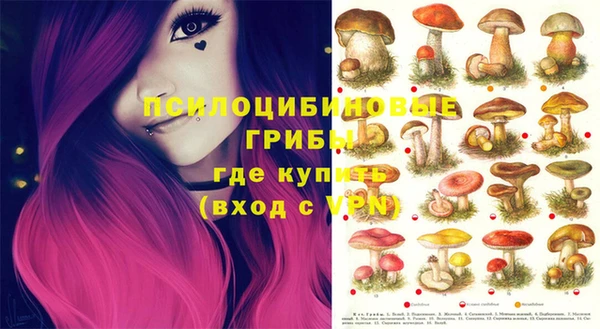 каннабис Каменногорск
