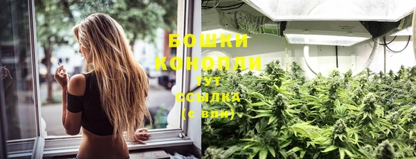 каннабис Каменногорск