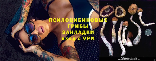 прущие крисы Каменка
