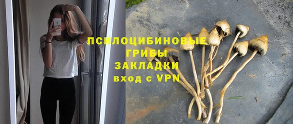 прущие крисы Каменка